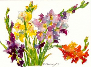 gladiolas