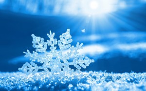 beautiful-snowflake-wallpaper-15536-16213-hd-wallpapers